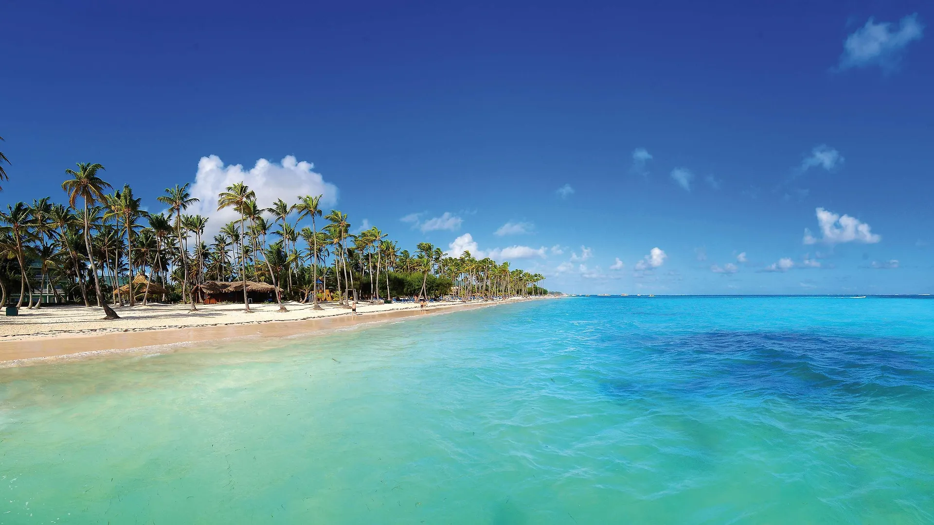 Barcelo Bavaro Beach (Adults Only) Punta Cana 5*,  Dominican Republic