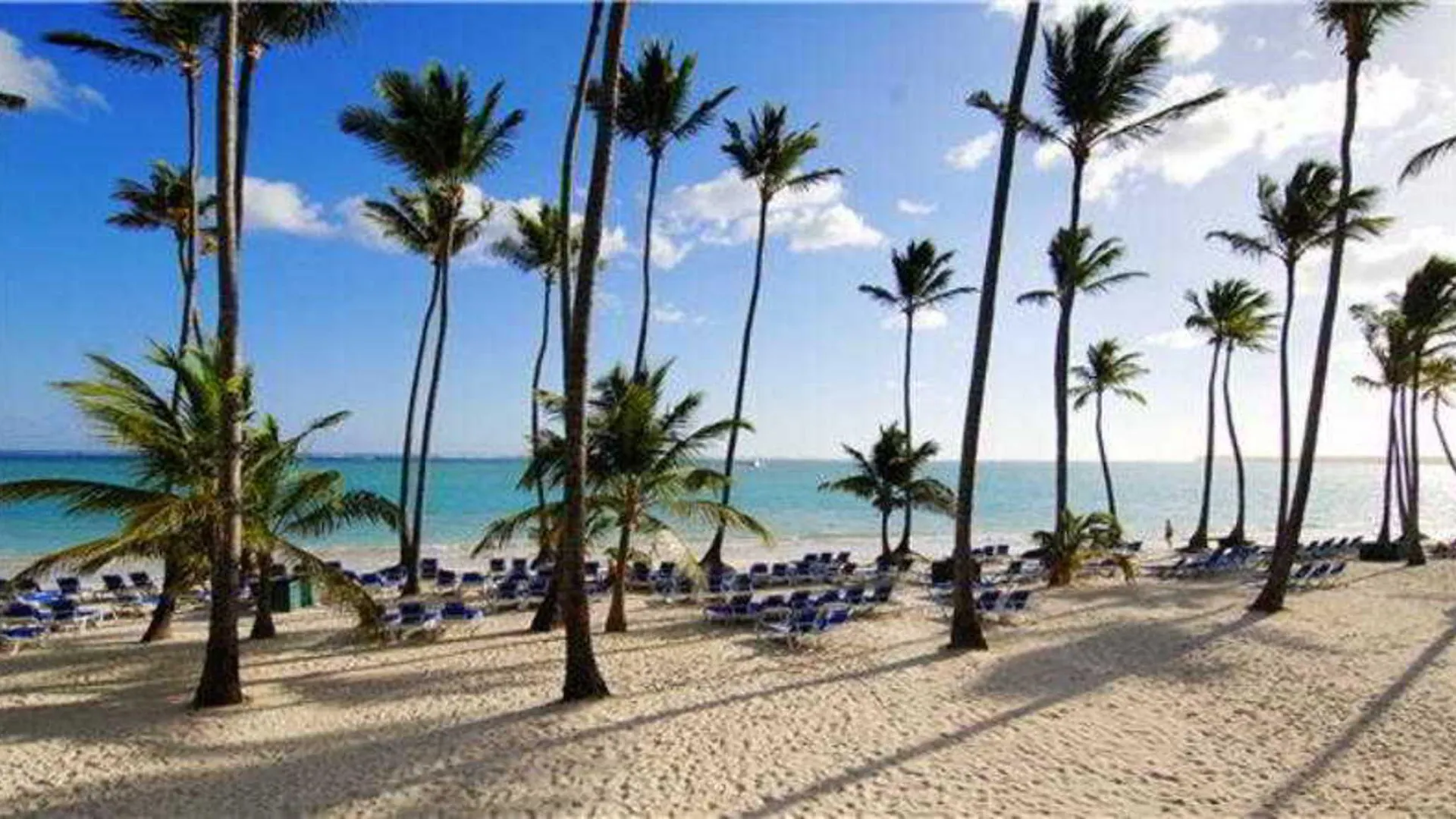 אתר נופש פונטה קאנה Barcelo Bavaro Beach (Adults Only)