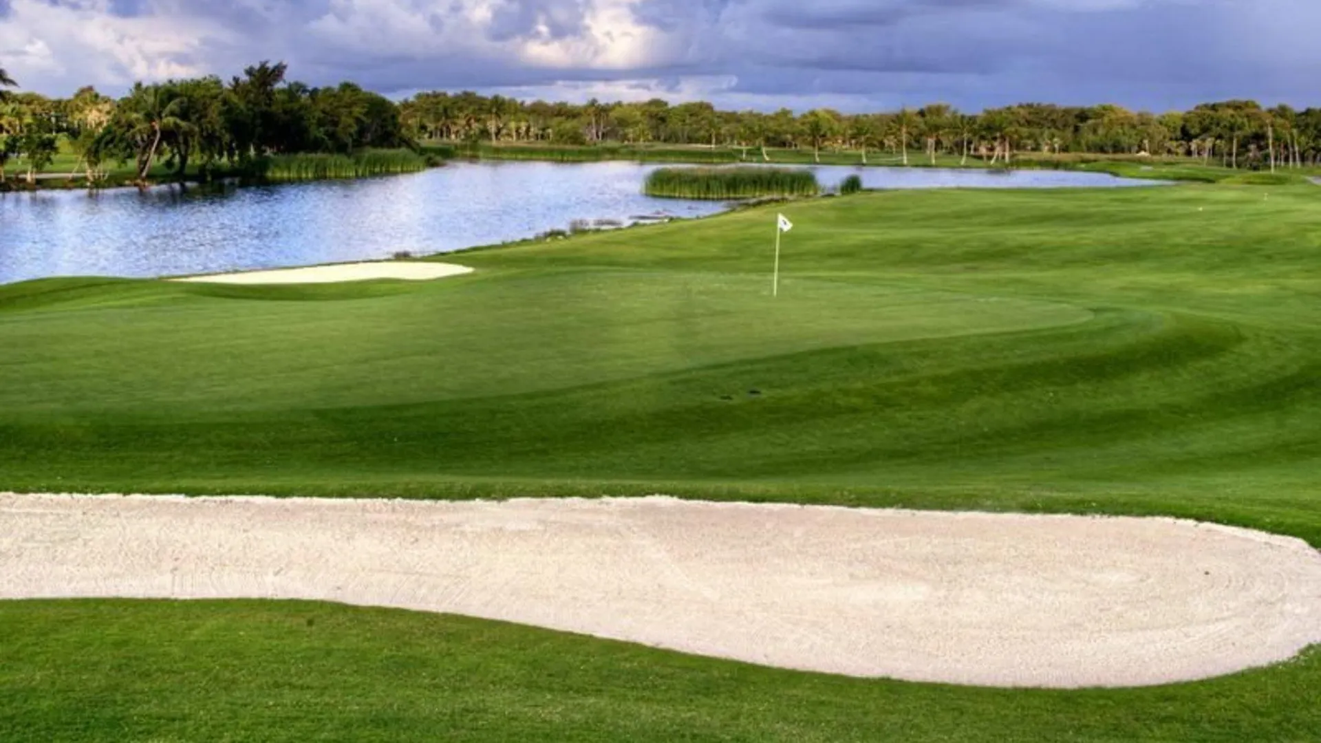 פונטה קאנה Barcelo Bavaro Beach (Adults Only) אתר נופש